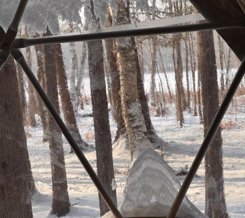 Photo of Others in North Algona Wilberforce