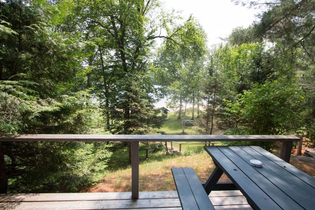 Photo of Others in Algonquin Highlands