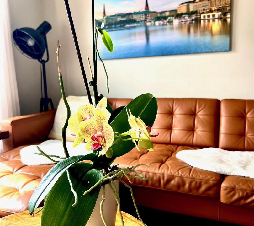 Photo of Livingroom in Perth