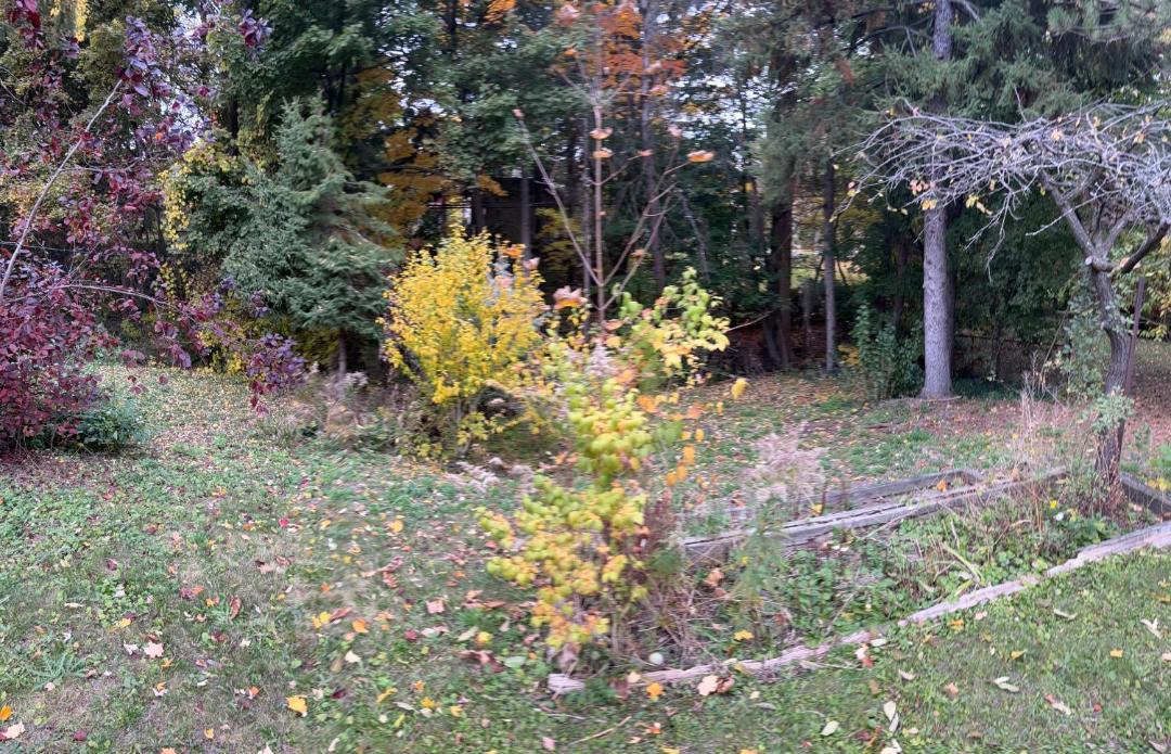Photo of Outdoor in Newtonbrook