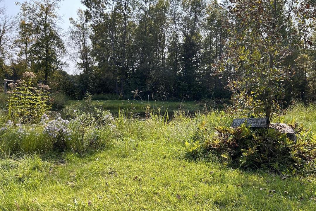 Photo of Outdoor in North Algona Wilberforce