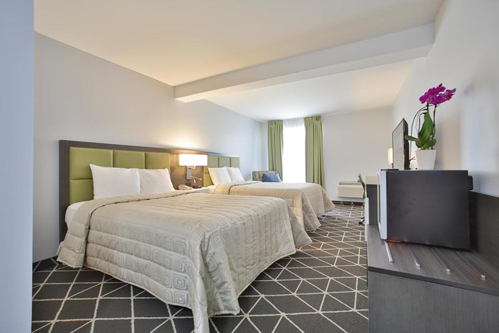 Photo of Bedroom in Palmerston