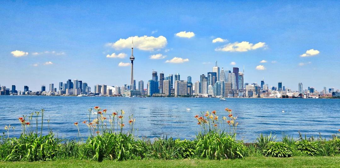 Photo of Others in Fort York