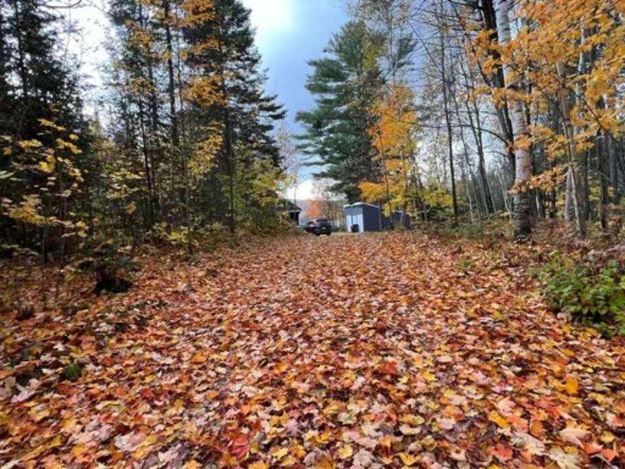 Photo of Others in Hastings Highlands
