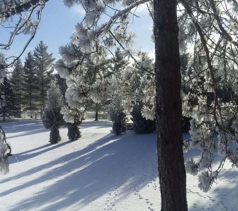 Photo of Others in Renfrew County