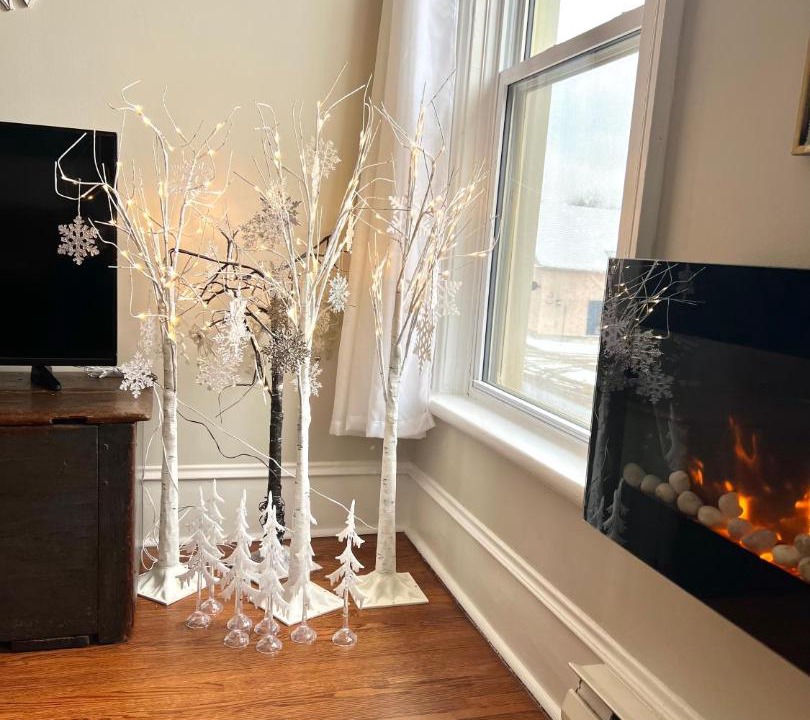 Photo of Livingroom in Perth