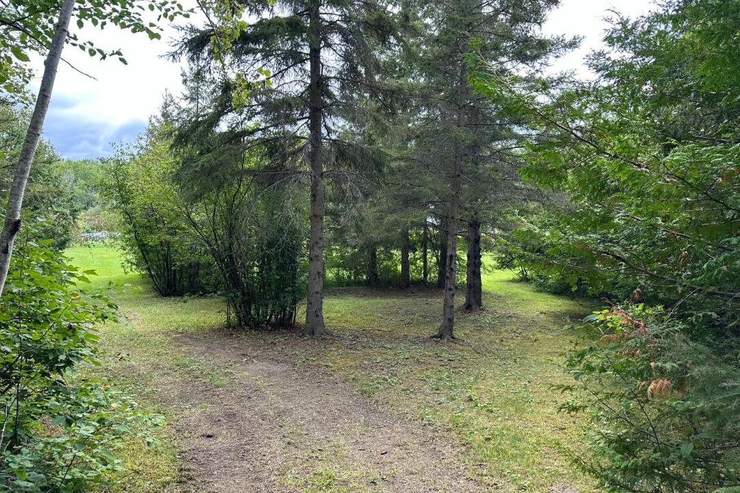 Photo of Others in Timiskaming District