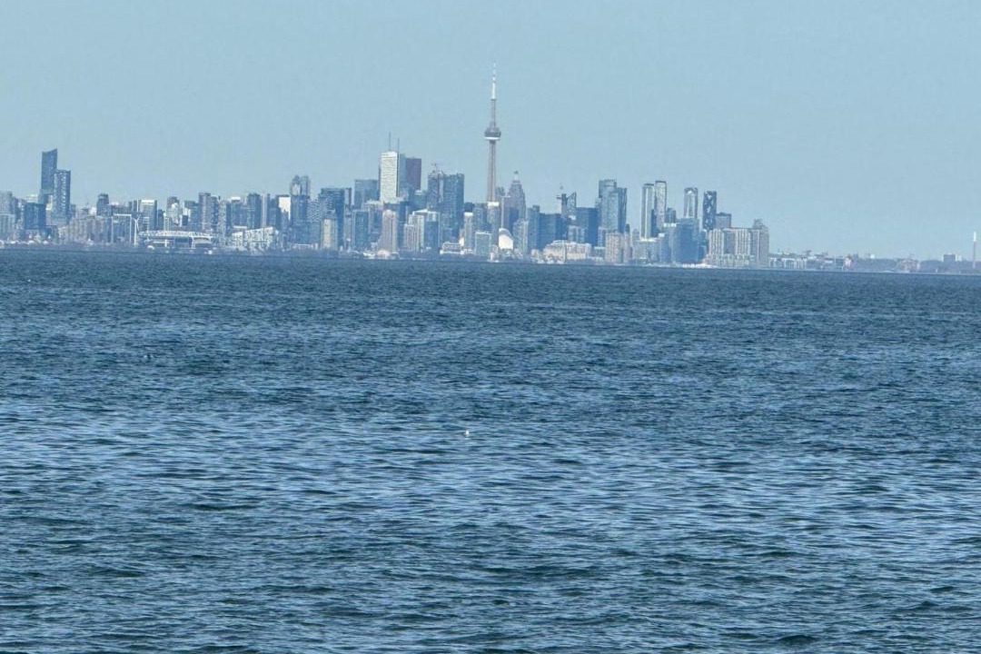 Photo of Others in Clarkson-Lorne Park