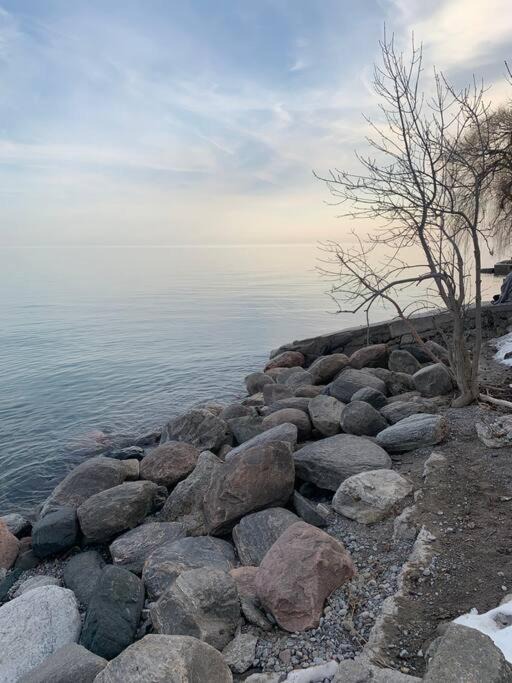 Photo of Others in Lakeview