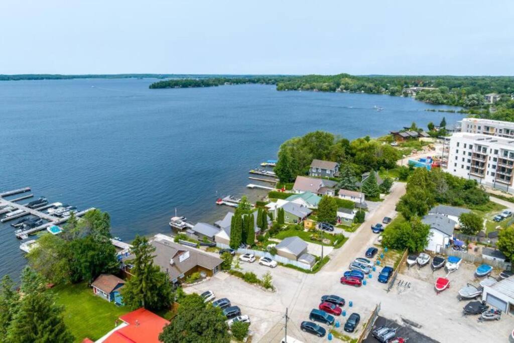 Photo of Others in Fenelon Falls