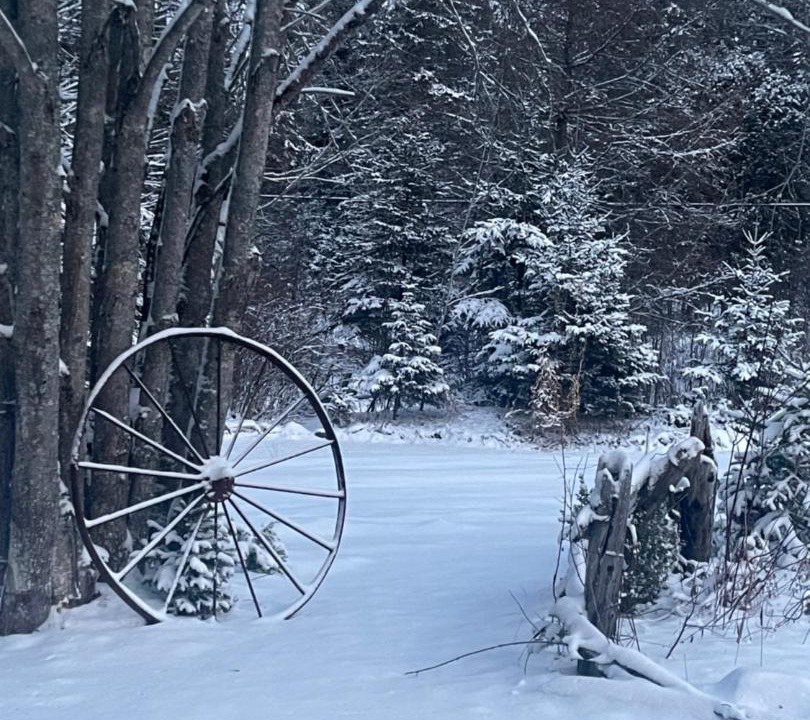 Photo of Others in Hastings Highlands