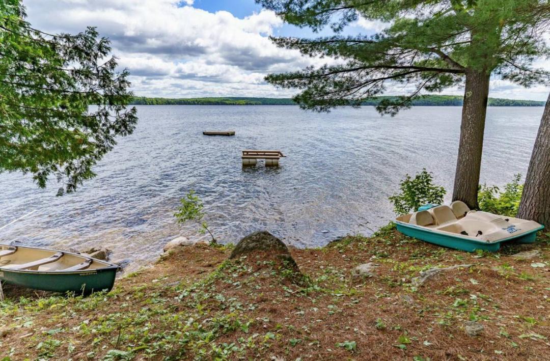 Photo of Others in Algonquin Highlands