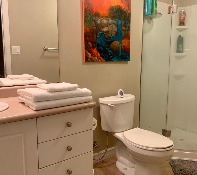 Photo of Bathroom in Guelph