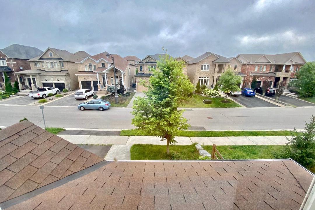 Photo of Others in Newmarket