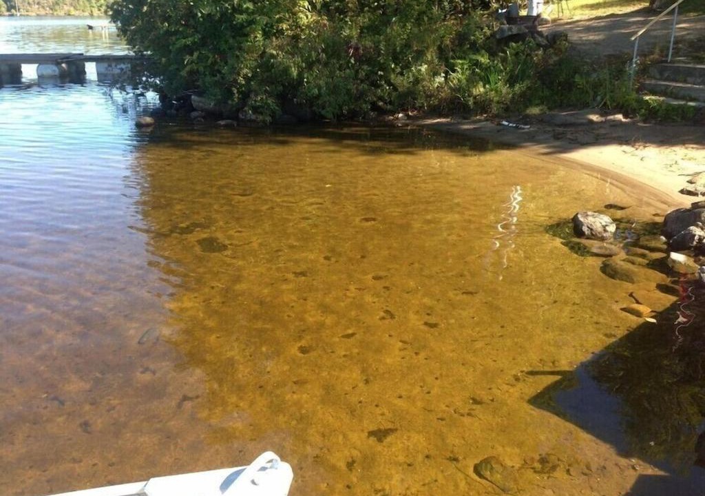 Photo of Others in Havelock-Belmont-Methuen