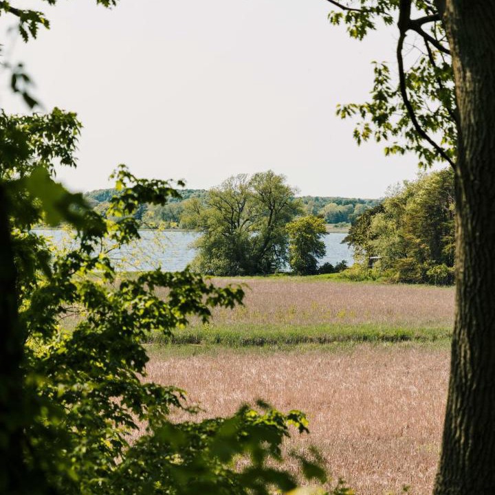 Photo of Others in Cherry Valley