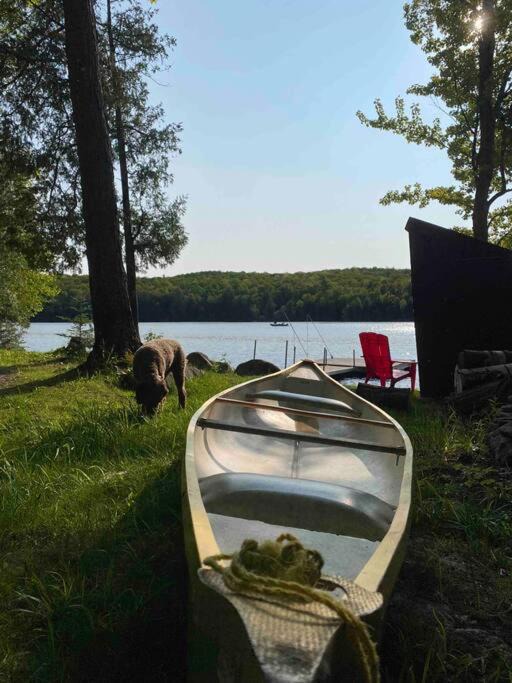 Photo of Others in Hastings Highlands