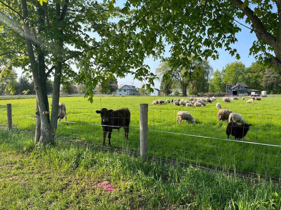 Photo of Others in Tillsonburg