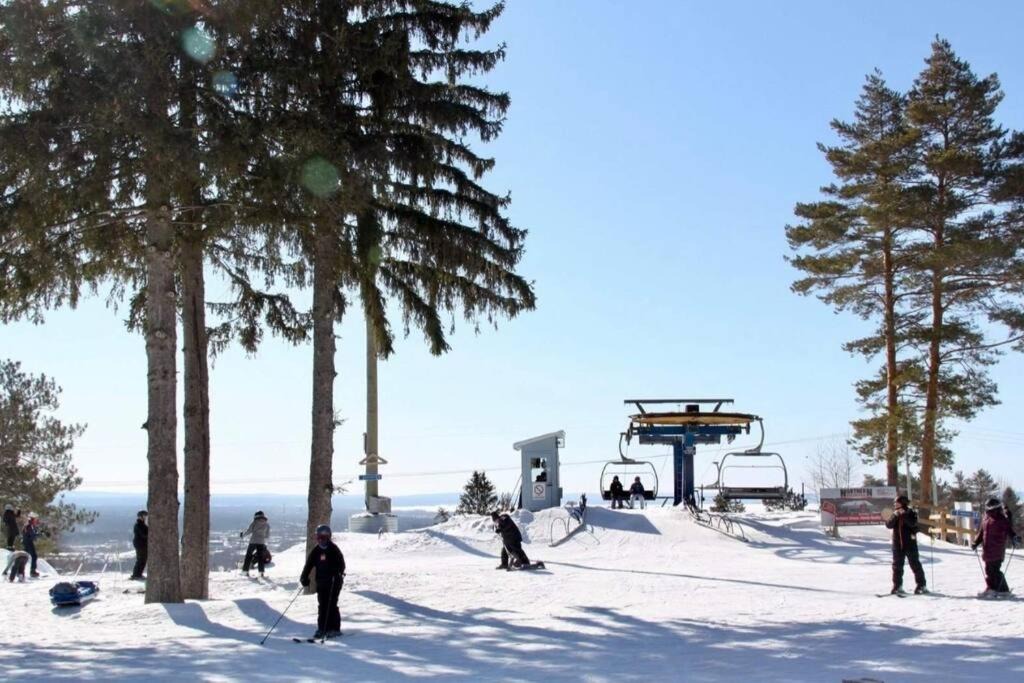 Photo of Others in North Bay