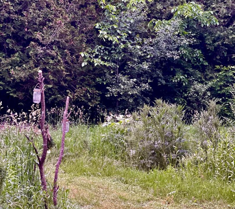 Photo of Others in Frontenac