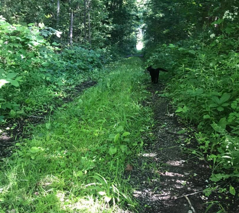 Photo of Others in Frontenac