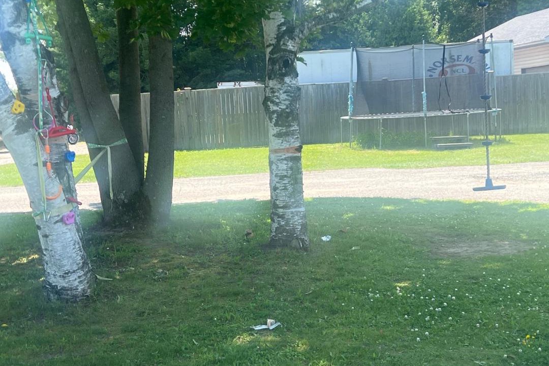 Photo of Others in Lindsay