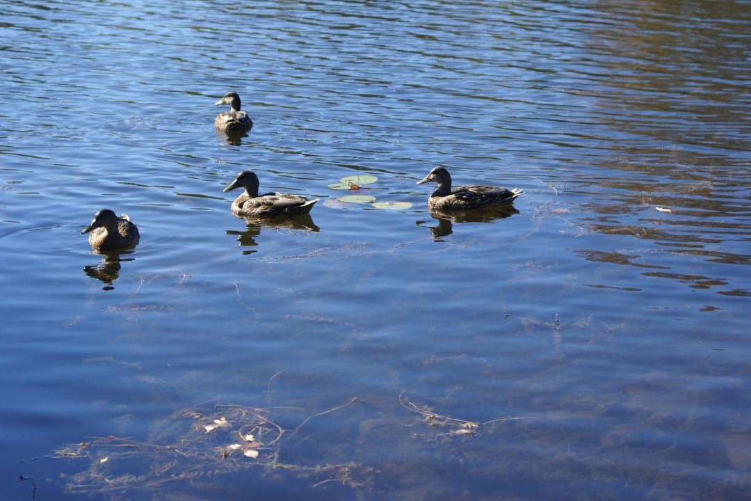 Photo of Others in Douro-Dummer
