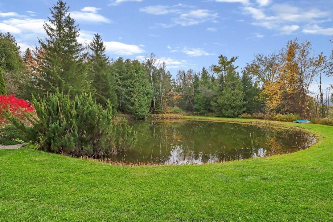 Photo of Others in Bradford West Gwillimbury