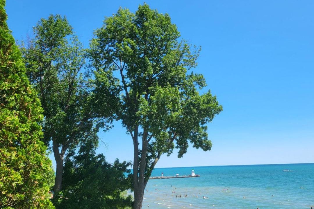 Photo of Others in Port Dover