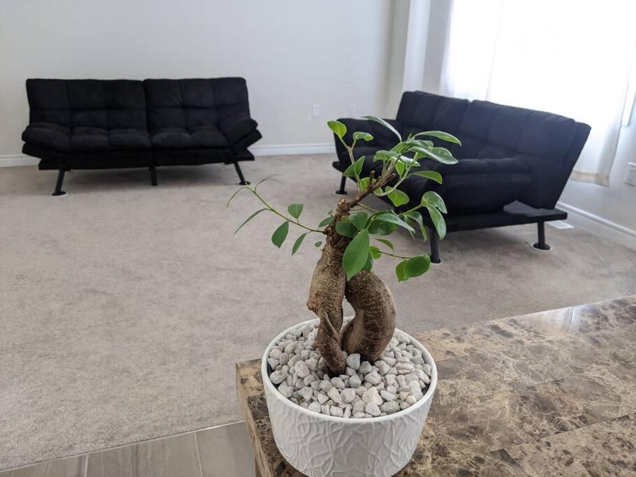Photo of Livingroom in Welland