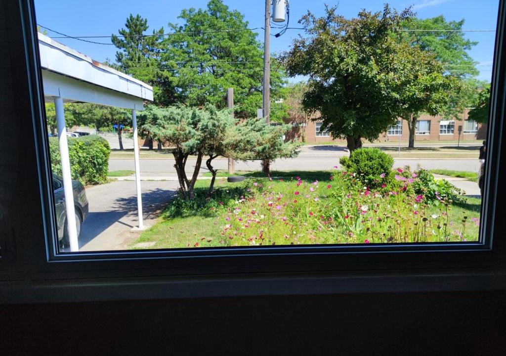 Photo of Others in Unionville