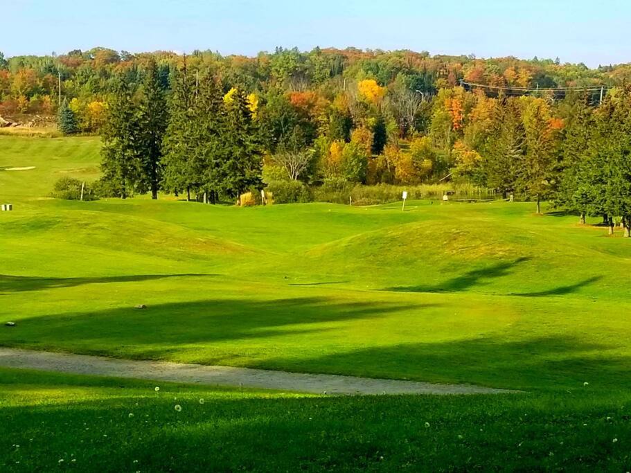 Photo of Outdoor in Huntsville