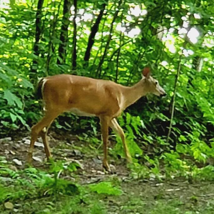 Photo of Others in Huntsville