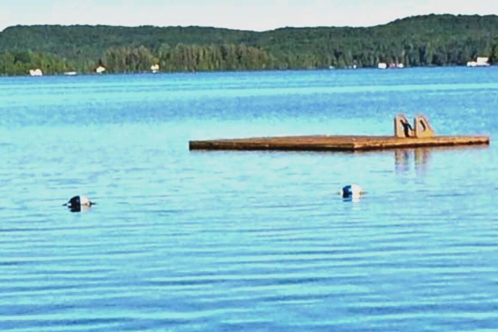 Photo of Human In Picture in Huntsville