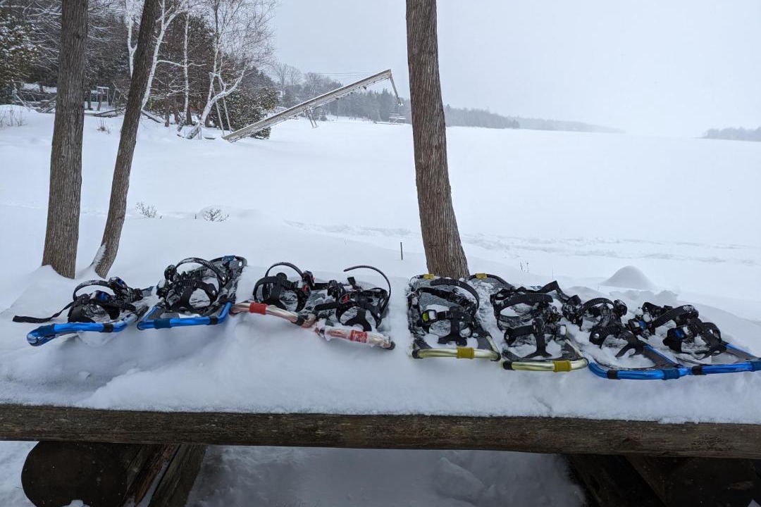 Photo of Others in Trent Lakes