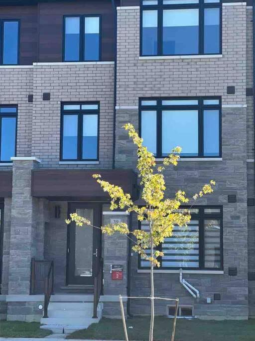 Photo of Buildings in Brampton