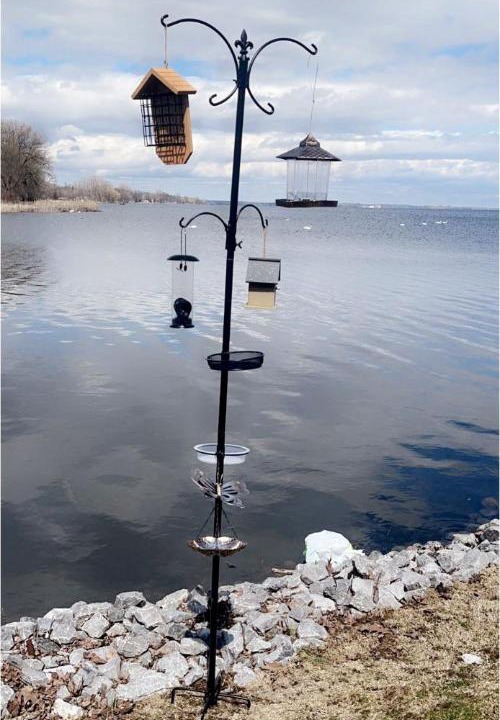 Photo of Others in Quinte West