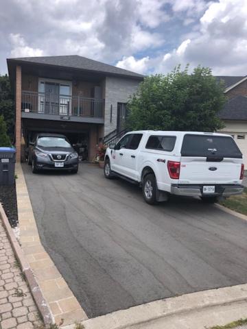 Photo of Others in Mavis-Erindale