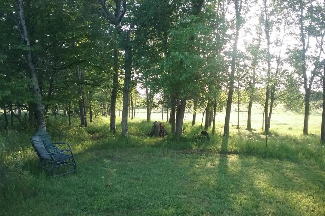 Photo of Others in Brook Park