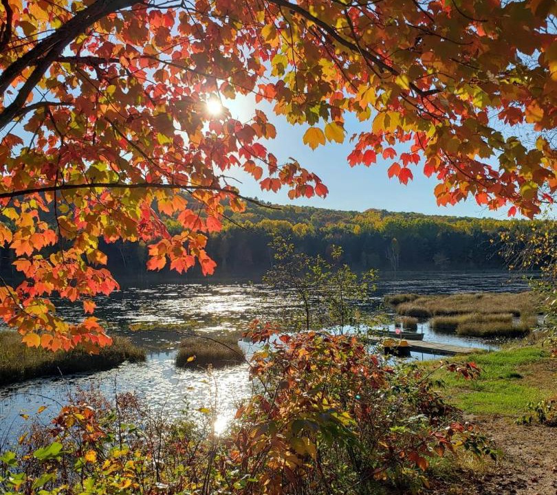 Photo of Others in Madawaska Valley