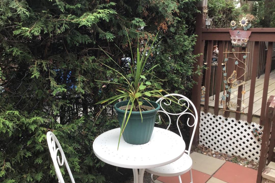 Photo of Patio Balcony in Ottawa Division