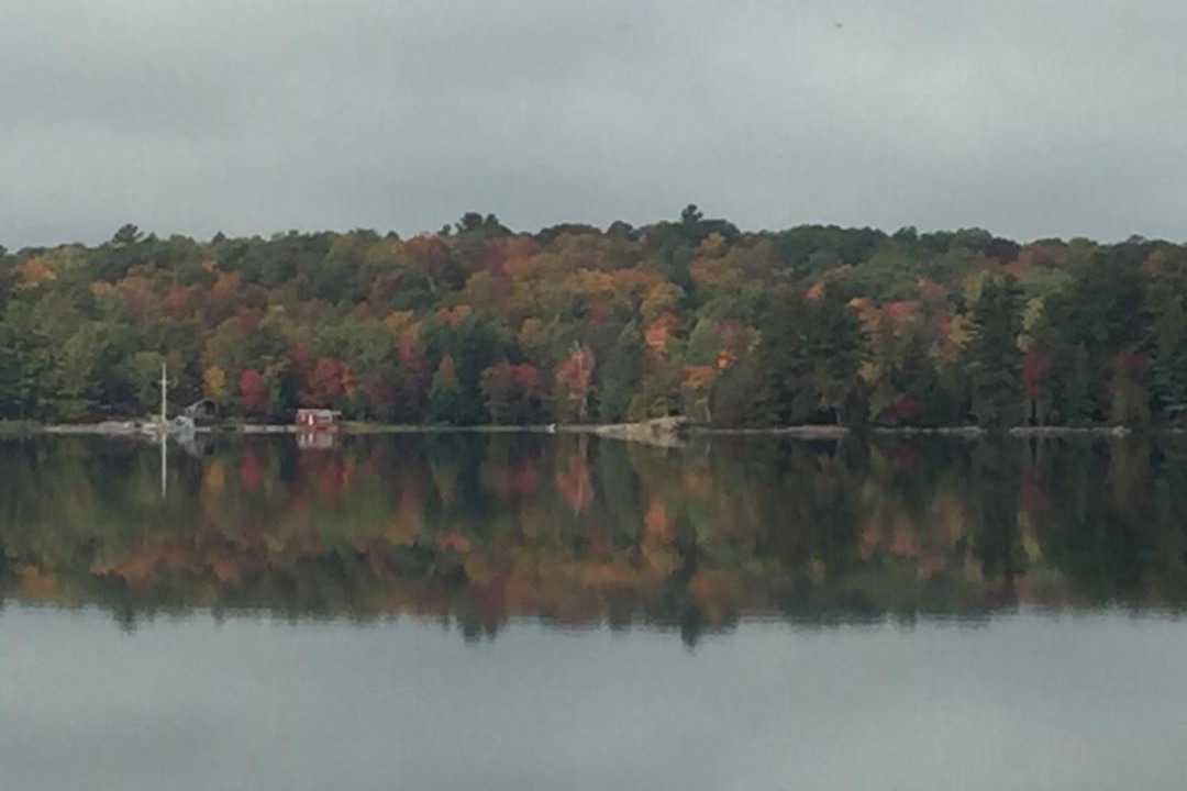 Photo of Outdoor in Algonquin Highlands