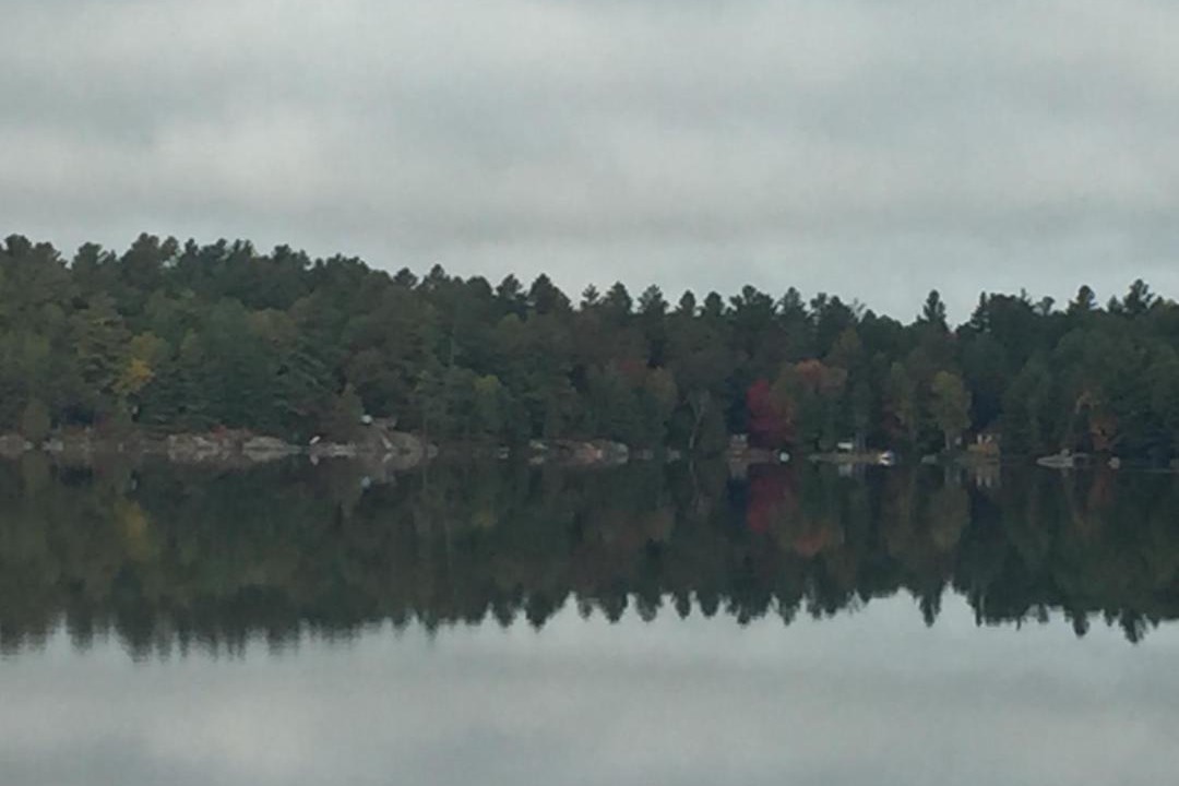 Photo of Outdoor in Algonquin Highlands