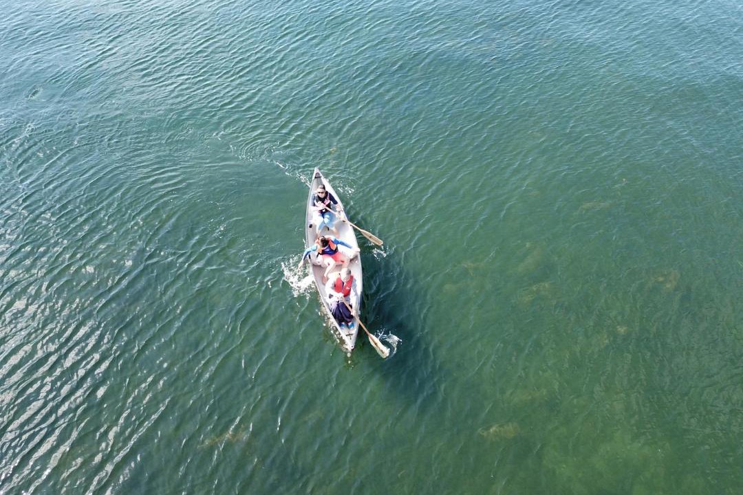Photo of Others in Leeds and the Thousand Islands