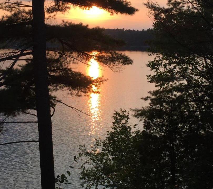 Photo of Outdoor in Algonquin Highlands