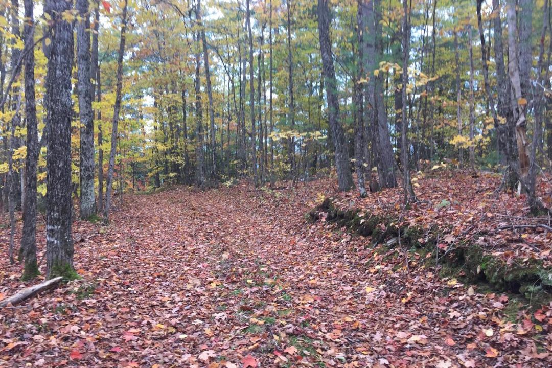 Photo of Others in Algonquin Highlands