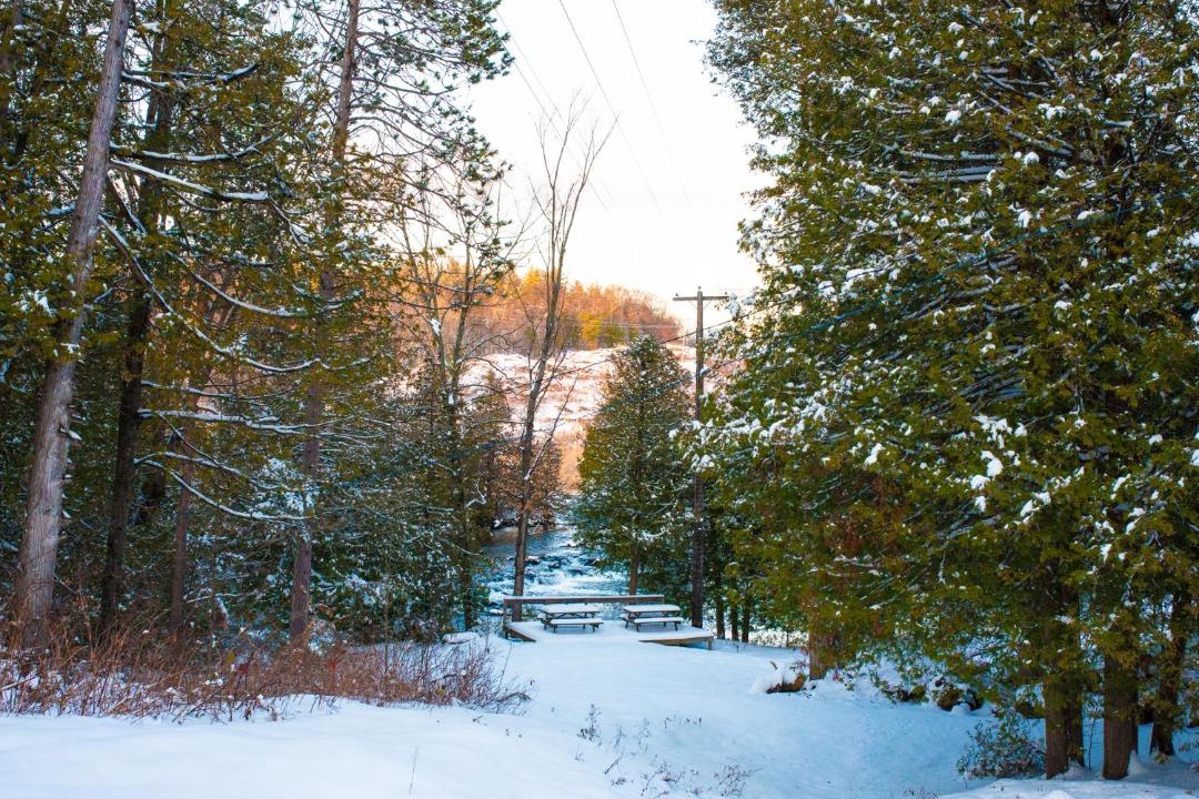 Photo of Others in North Frontenac