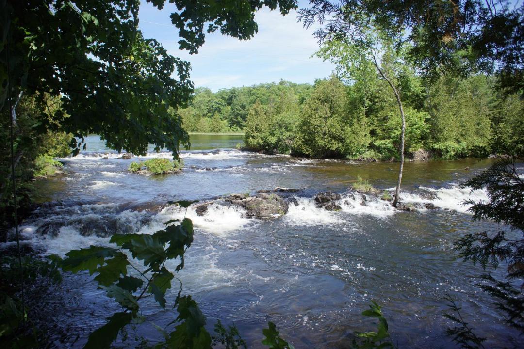 Photo of Others in North Frontenac