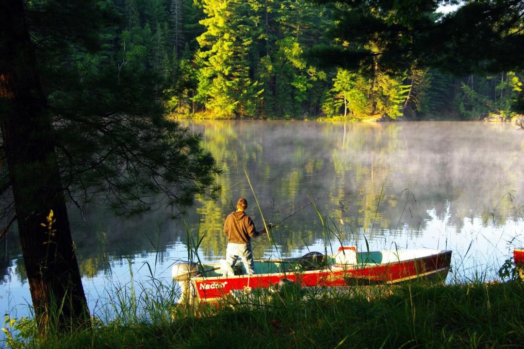 Photo of Others in Unorganized Centre Parry Sound