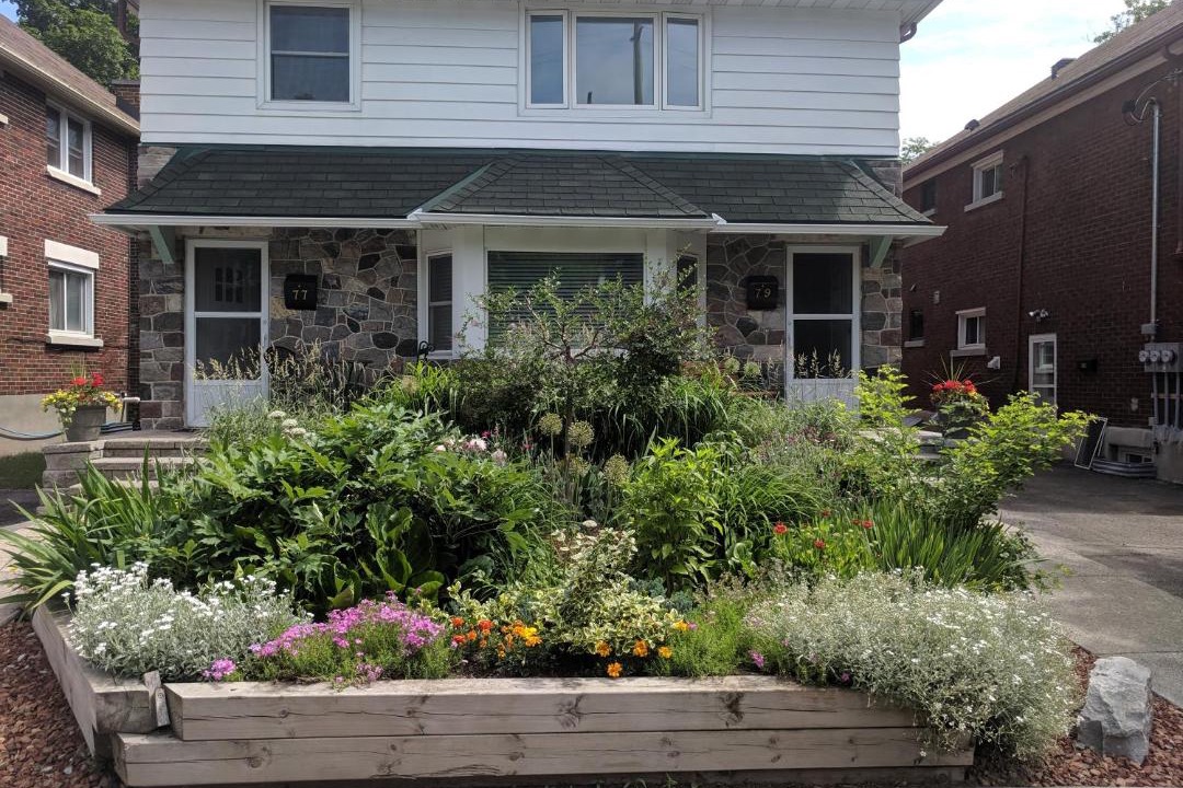 Photo of Others in Sandy Hill